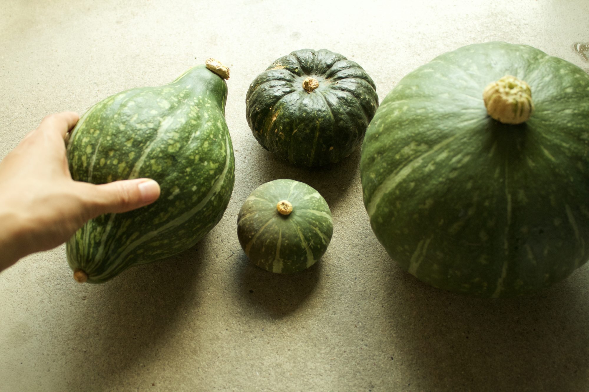 kabocha
